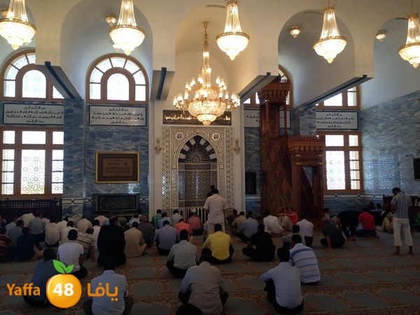 sharmelskhe7 (35).JPG